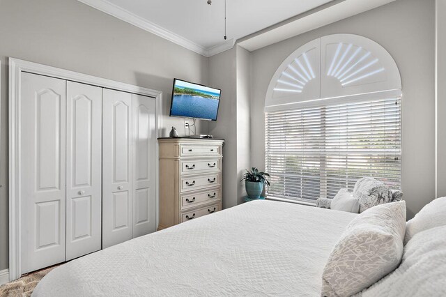 bedroom with ornamental molding and a closet