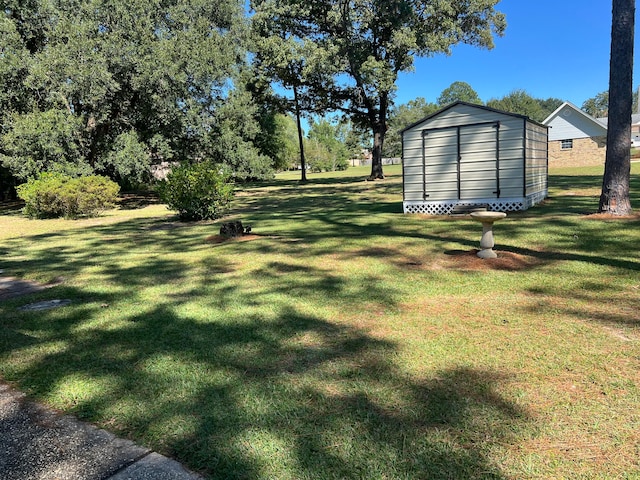 view of yard with a storage shed