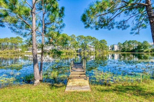 211 Lakeview Dr, Santa Rosa Beach, FL 32459