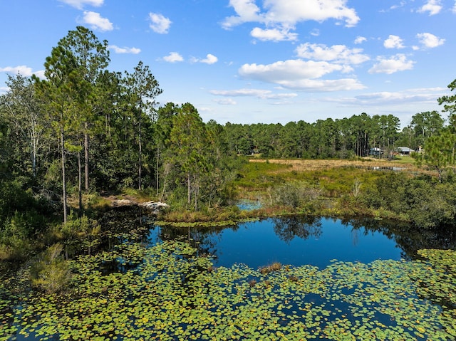 1246 N US Highway 331, Defuniak Springs, FL 32433