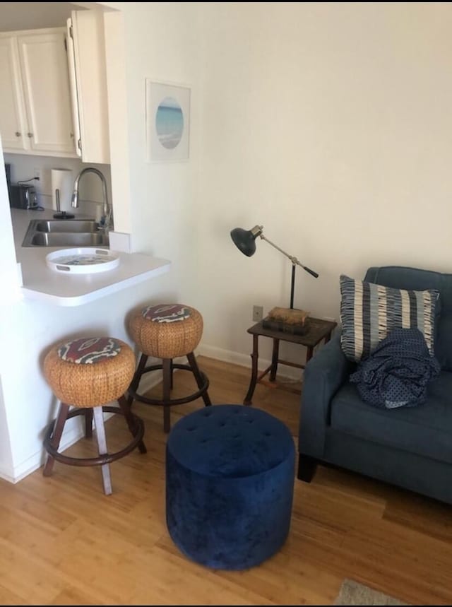 sitting room featuring light wood-type flooring and sink