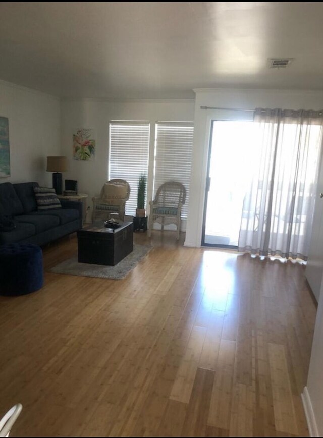 living room featuring hardwood / wood-style flooring