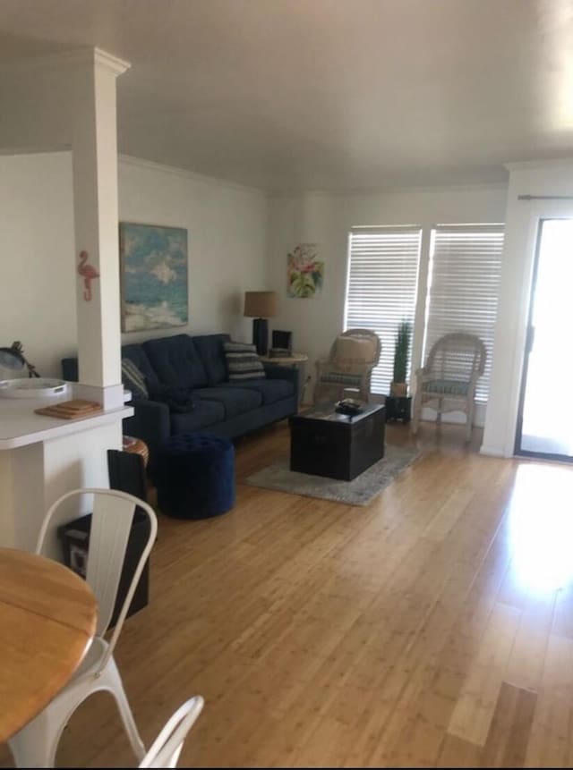 living room with hardwood / wood-style flooring and crown molding