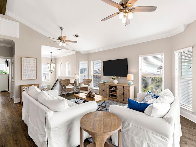 living room with crown molding, dark hardwood / wood-style floors, and ceiling fan with notable chandelier