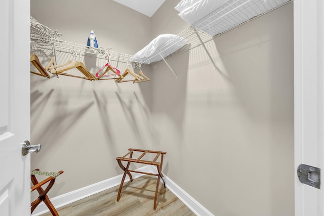 spacious closet featuring hardwood / wood-style flooring