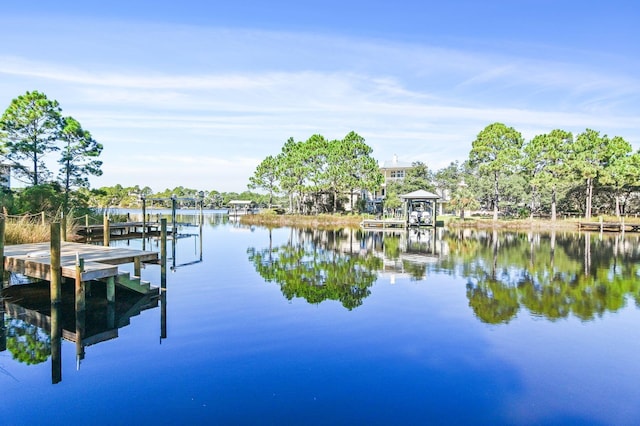 dock area with a water view