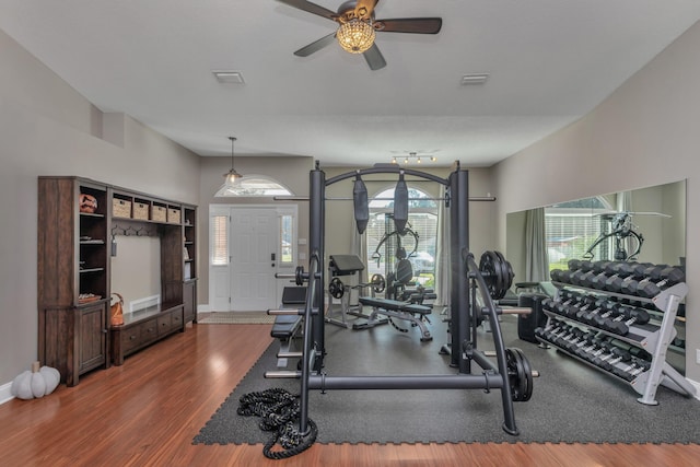 exercise room featuring ceiling fan and dark hardwood / wood-style floors