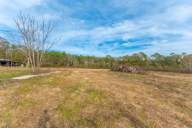 view of yard with a rural view