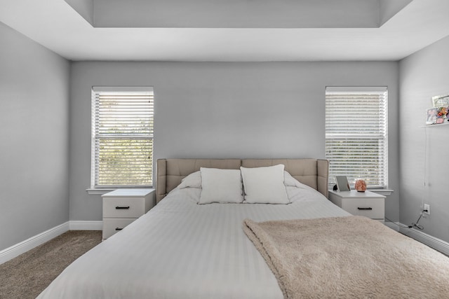 bedroom with baseboards and carpet flooring