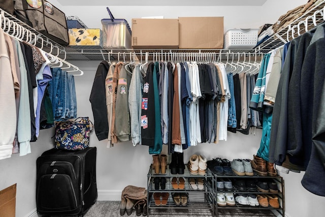 view of spacious closet