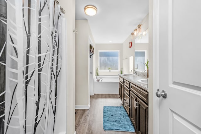 bathroom featuring vanity, a washtub, and hardwood / wood-style flooring