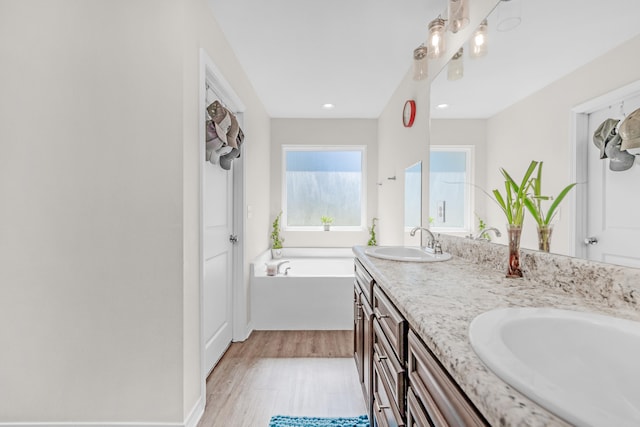 bathroom with wood-type flooring, vanity, and a bathing tub