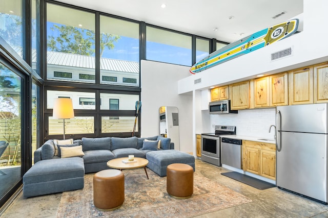 kitchen with backsplash, a high ceiling, sink, appliances with stainless steel finishes, and a wall of windows