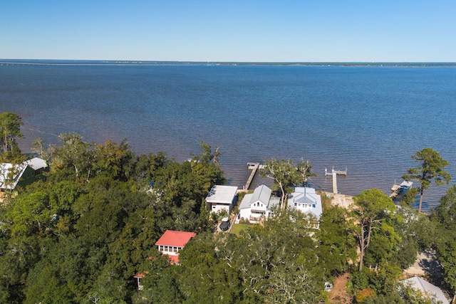 103 Native Tree Ln, Santa Rosa Beach, FL 32459 - aerial view of a nearby body of water