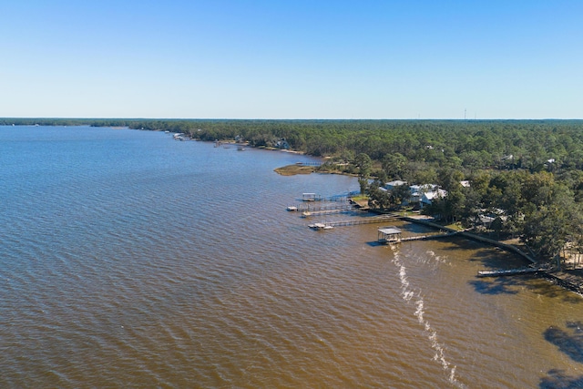 103 Native Tree Ln, Santa Rosa Beach, FL 32459 - water view featuring a heavily wooded area