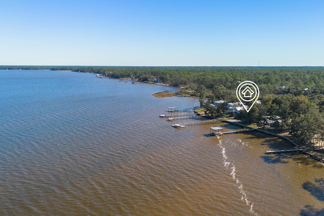 103 Native Tree Ln, Santa Rosa Beach, FL 32459 - water view featuring a forest