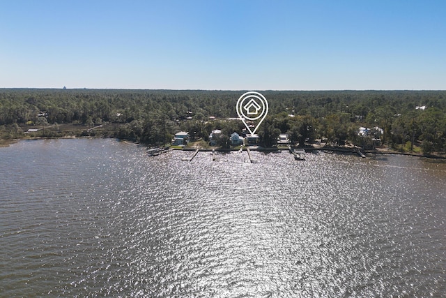 103 Native Tree Ln, Santa Rosa Beach, FL 32459 - bird's eye view of a forest and a large body of water