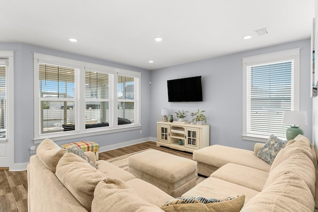 living room featuring wood-type flooring and a wealth of natural light