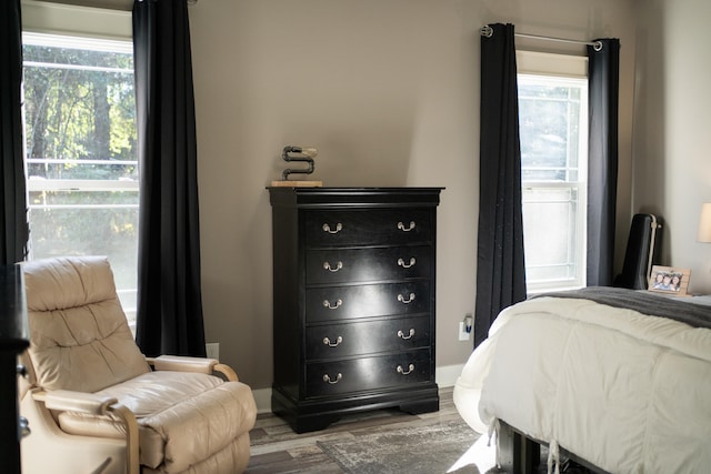 bedroom featuring multiple windows and hardwood / wood-style floors