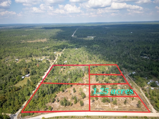 1516 Lake Lillian Rd, Fountain FL, 32438 land for sale