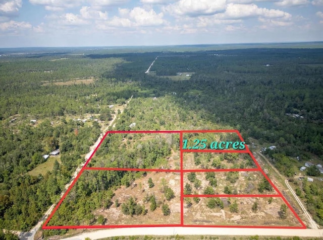 LOT4 Lake Lillian Rd, Fountain FL, 32438 land for sale