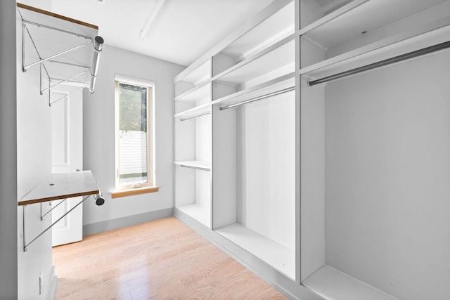 spacious closet with light wood-type flooring