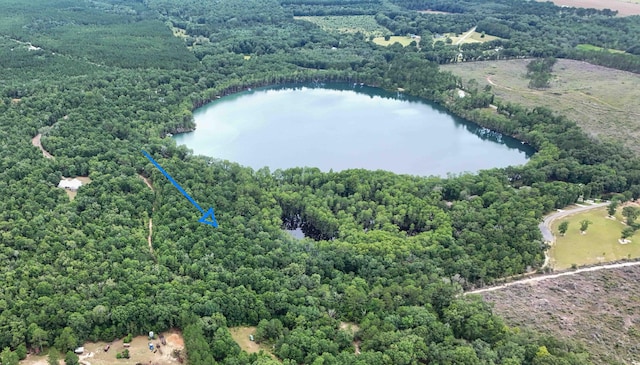 4.5ACRES Blue Pond Ln, Ponce De Leon FL, 32455 land for sale