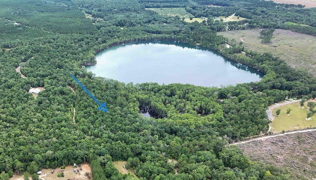 4.5ACRES Blue Pond Ln, Ponce De Leon, FL 32455 - photo 1