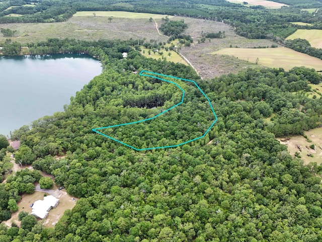 4.5ACRES Blue Pond Ln, Ponce De Leon, FL 32455 - photo 2