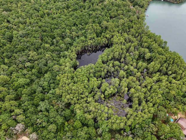 4.5ACRES Blue Pond Ln, Ponce De Leon, FL 32455 - photo 3