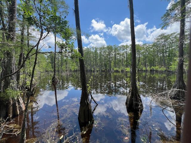 4.5ACRES Blue Pond Ln, Ponce De Leon, FL 32455 - photo 5