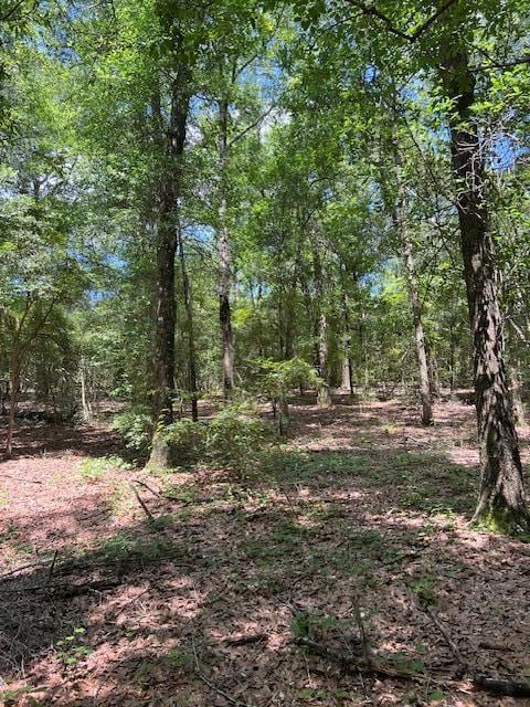 4.5ACRES Blue Pond Ln, Ponce De Leon, FL 32455 - photo 6