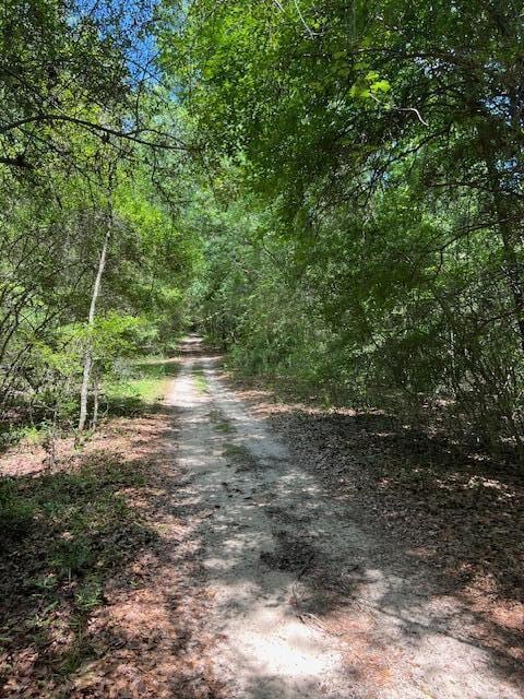 4.5ACRES Blue Pond Ln, Ponce De Leon, FL 32455 - photo 7