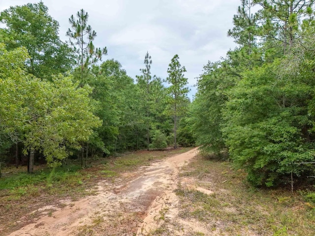 4.5ACRES Blue Pond Ln, Ponce De Leon, FL 32455 - photo 8