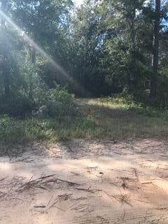 000 S Eden Park Dr, Santa Rosa Beach, FL 32459