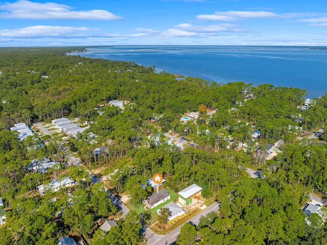 20 W Wild Blueberry Way, Santa Rosa Beach, FL 32459 - photo 20