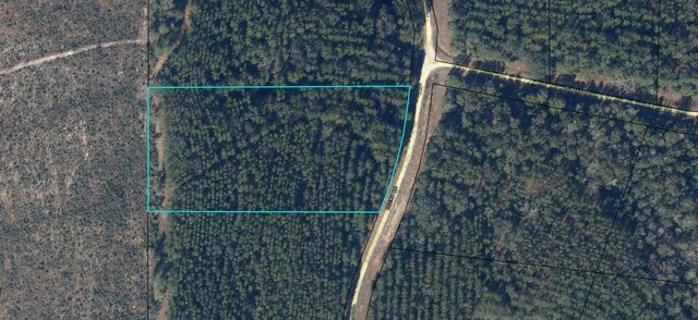 1716 Beech Dr, Westville, FL 32464 - photo 4
