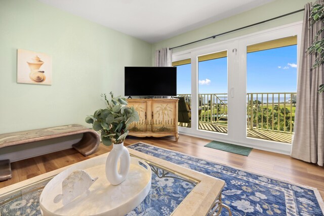 778 Scenic Gulf Dr Unit 423, Miramar Beach, FL 32550 - living area featuring wood finished floors