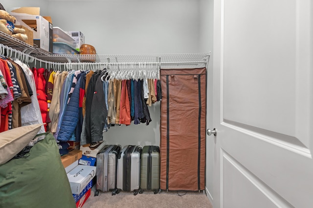 spacious closet featuring light colored carpet