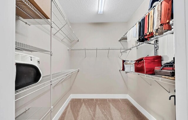 spacious closet with light colored carpet