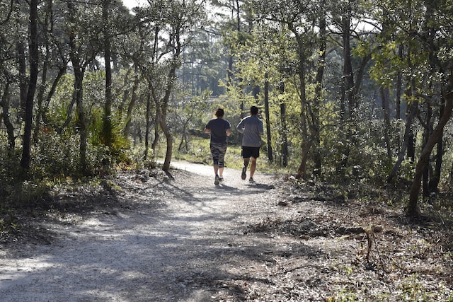 view of local wilderness