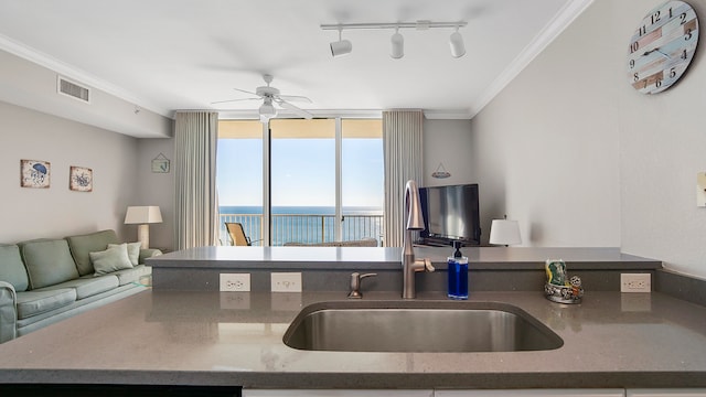 kitchen with ceiling fan, rail lighting, ornamental molding, a wall of windows, and sink