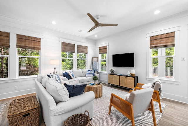 living room with ceiling fan, ornamental molding, and light wood-type flooring