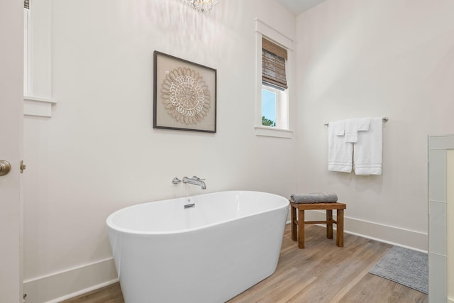 bathroom featuring a bathing tub and wood-type flooring