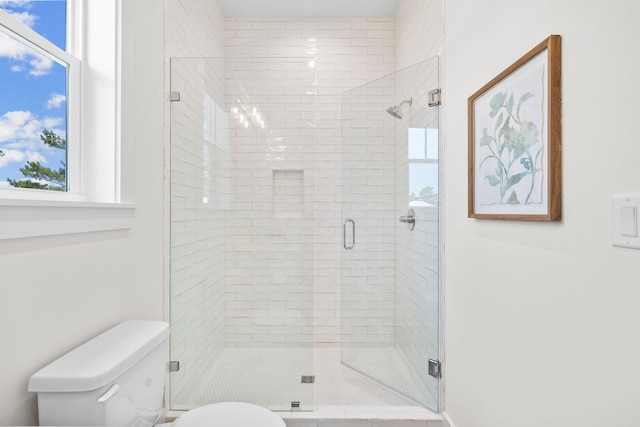 bathroom with a wealth of natural light, toilet, and walk in shower