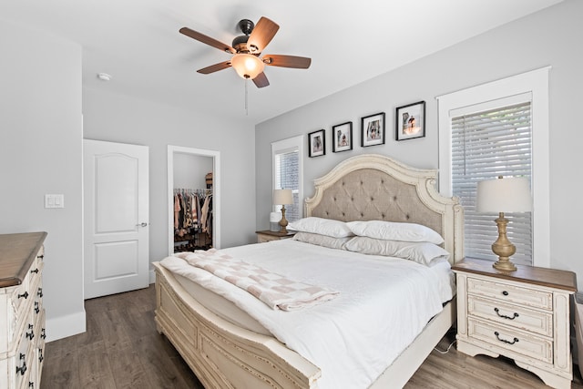 bedroom featuring a closet, a walk in closet, dark hardwood / wood-style floors, and ceiling fan