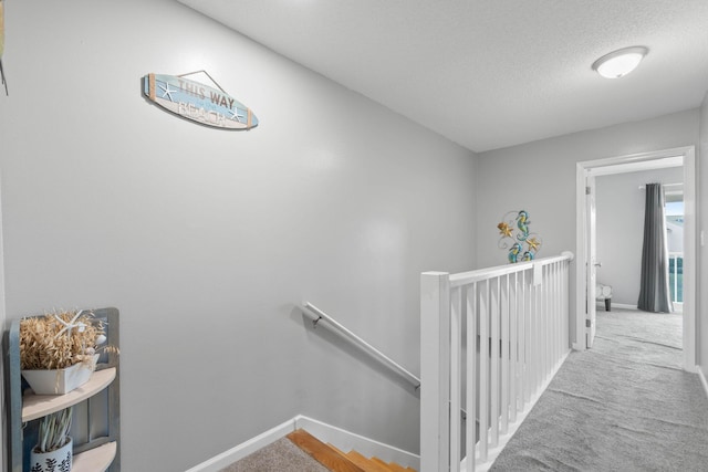 stairway featuring a textured ceiling and carpet flooring