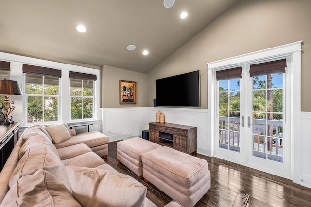 living room with high vaulted ceiling, plenty of natural light, and dark hardwood / wood-style flooring