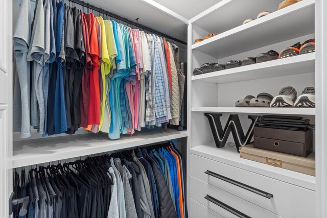 view of spacious closet