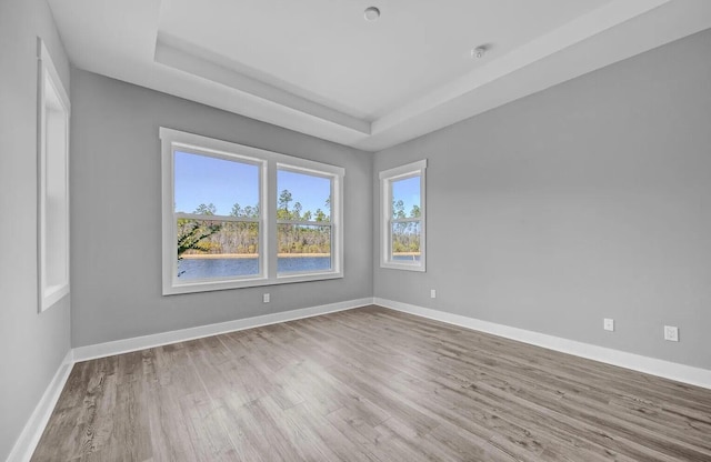 empty room with light hardwood / wood-style floors and a raised ceiling